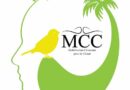 Haïti-Environnement : Lancement de l’ONG MCC à l’occasion de la Journée mondiale du climat